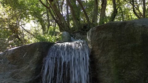 A stream in the park in spring Vídeos de archivo 144476692