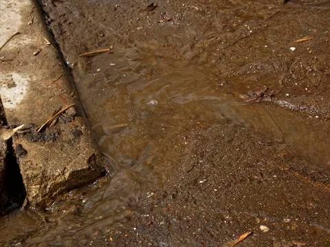 The stream on the pavement in the spring Stock Photos