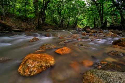 Stream of Peacefulness Stock Photos