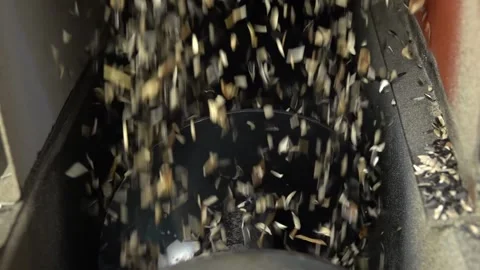 Stream of peeled sunflower kernels and husk spilling into container with a Stock Footage 198394419