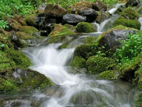 Stream Foto stock