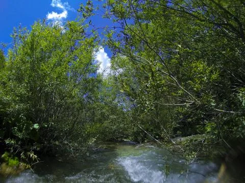 Up the stream Stock Photos