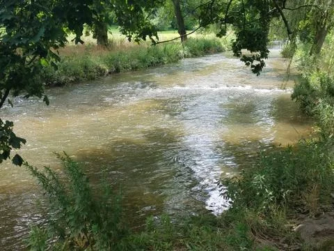 At the stream Foto stock