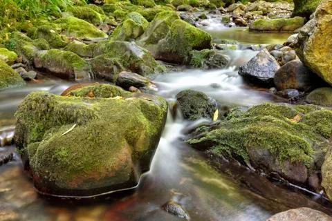 Stream Stock Photos