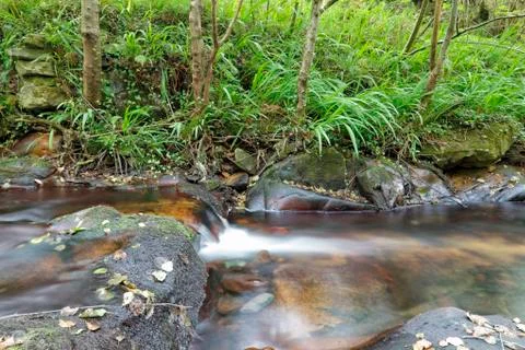 Stream Stock Photos
