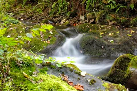 Stream Stock Photos