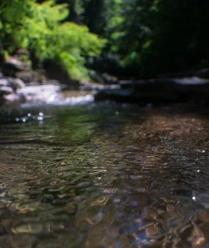 In a stream Stock Photos