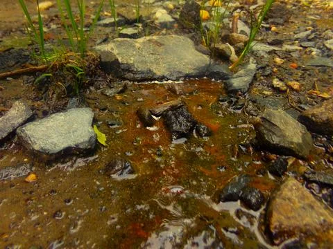 Stream  Stock Photos