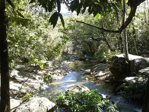 Stream in Pirenopolis, Brazil Stock Photos