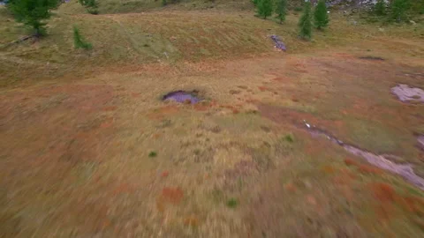 Stream on a plateau in the Dolomites Stock Footage 220601498