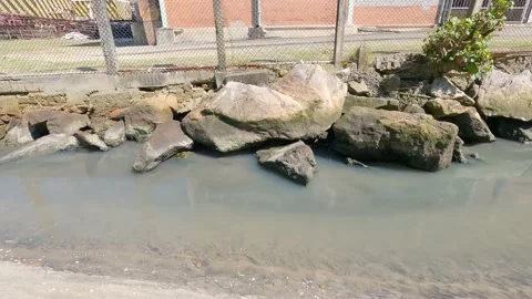 Stream of polluted water, river polluted by companies. Polluted river water Stock Footage 171241524