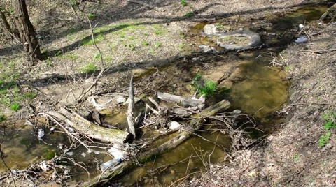 Stream pollution 動画素材 49311495