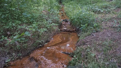 Stream Pollution Stock Footage 106954505