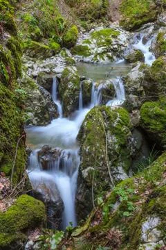 Stream ponicova, romania Stock Photos