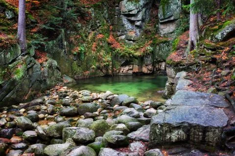 Stream Pool in Mountains Wilderness Stock-Fotos