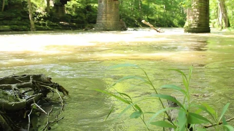 Stream Pours Water Stock-Footage 106675252