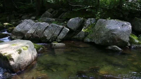 Stream in the Primorye krai. Siberia, Far East, Russia Stock Footage 65771564