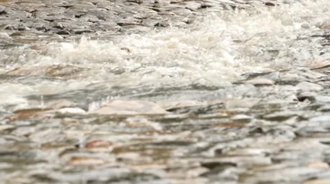 Stream of rain on the cobble road Stock-Footage 8524833