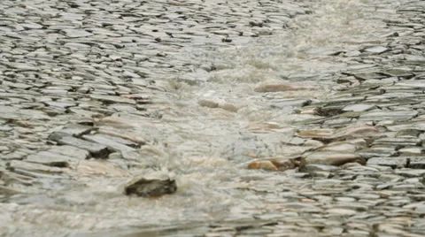 Stream of rain on the cobble road Stock Footage 38267456