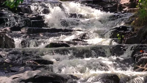 Stream in the rainforest with soft flowing water 2 Stock Footage 152603028