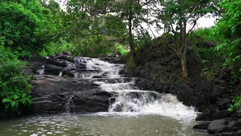 Stream in the rainforest with soft flowing water 3 Stock Footage 152603076