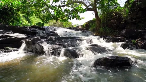 Stream in the rainforest with soft flowing water Stock Footage 152603083