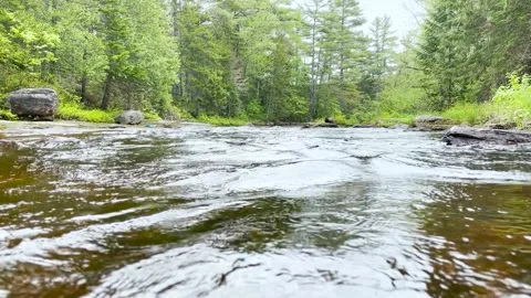 Stream on a Rainy Day in the Woods Video stock 154964947