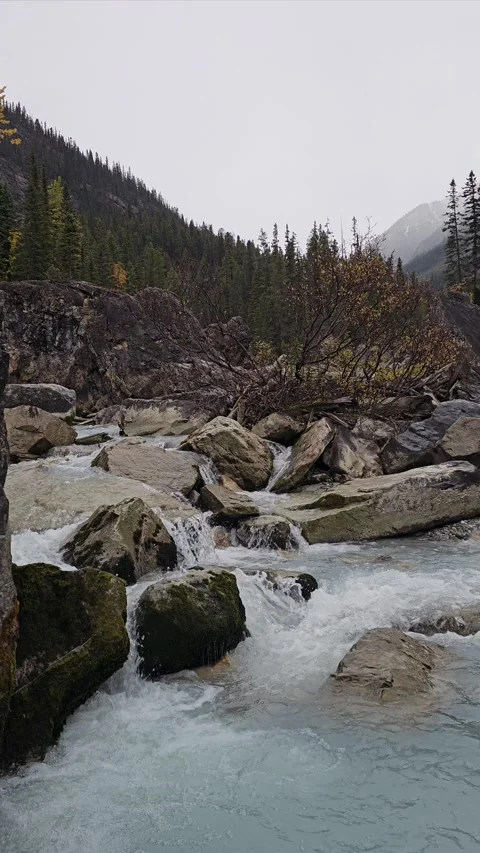 Stream Rapids 動画素材 295898003