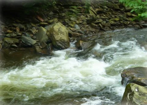 Stream Rapids Stock Illustration