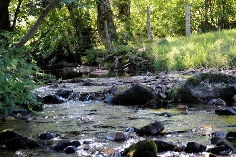 Stream with rapids from low perspective Fotos de archivo