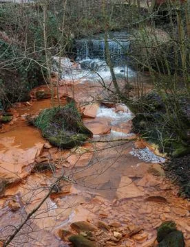 A stream with a red substance running through trees with rocks in it Stock Photos