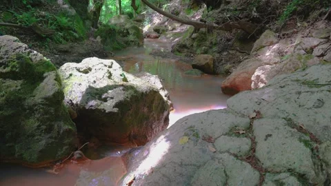 A stream with red water flows through the woods Vídeos de archivo 130183776