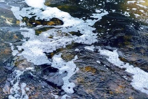Stream reflection scene. Serene riverbed with shimmering water and natural Stock Photos