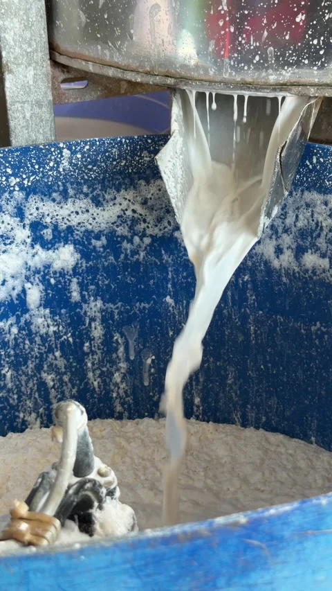 Stream of rice pulp fills a container as part of preparation for drying and 库存影片 329828787