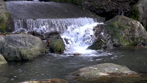 The stream rises in slow motion Stock Footage 221210463