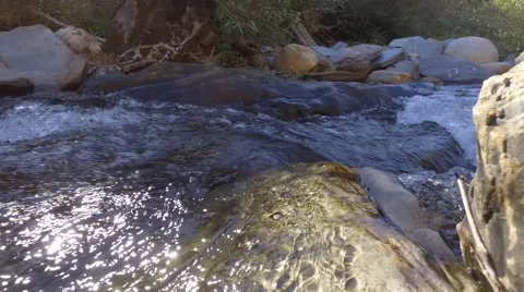 Stream river with clear water steady shot gimbal 4k Stock-Footage 67996792