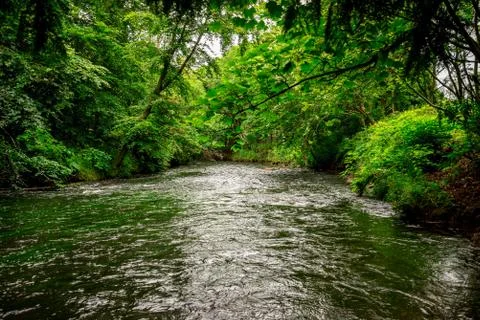 A stream of river Don flowing between plants and trees in Seaton park Stock Photos