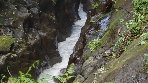 A Stream, river in the forest, jungle in Bali, Indonesia. 60 ftps, full HD Stock Footage 95532308