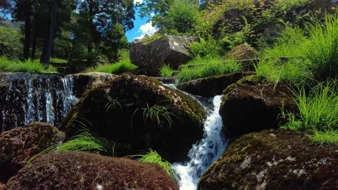 Stream from the river in the forest. Summer travel to waterfall in the mountains Stock Footage