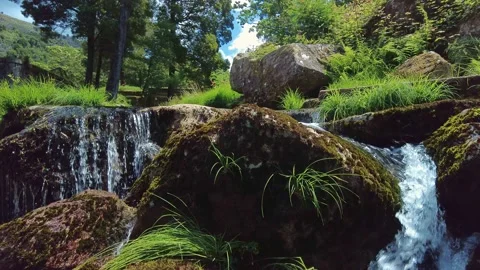 Stream from the river in the forest. Summer travel to the waterfall in mountains Stock-Footage 155305823