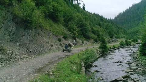 Stream of river with fresh mountain water next to country carriage Stock Footage 314897486