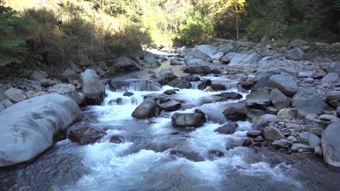 Stream of river in the middle of nature is captured in beautiful landscape Stock Footage 223186484