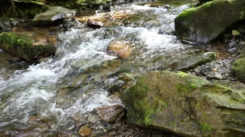 Stream river in the mountain Vídeos de archivo 231913851