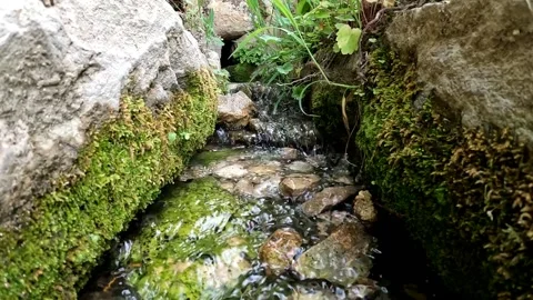 Stream river relax water relaxing Stock Footage 233367291