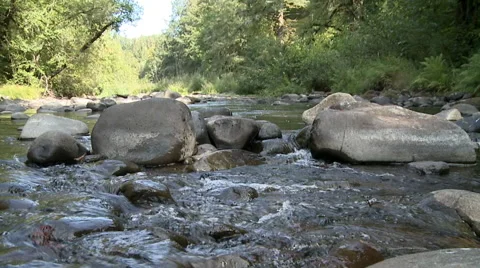 Stream with River Rocks 動画素材 52706487