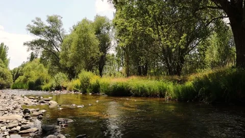 Stream of a river in Turkey. Zigzag river flows between summer valleys Stock Footage 157038596