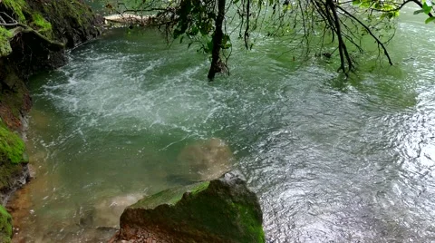 Stream River Water Bubbles Geology Jungle Rainforest Park Costa Rica Stock Footage 53893418