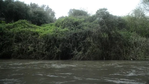 Stream river water flowing current Stock Footage 98677172