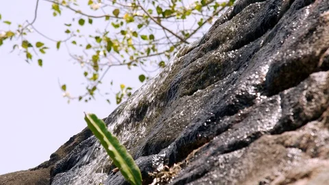 Stream of river water from mountain waterfall flowing on stones close up. Slow Stock Footage 96576006