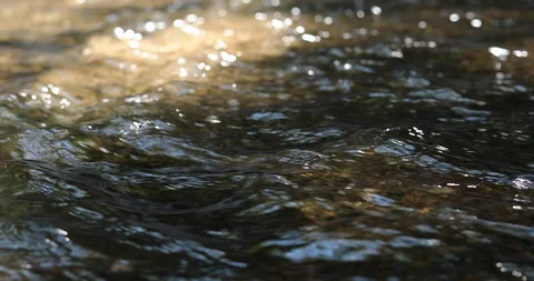 Stream of river water in nature, close-up Stock Footage 86012820